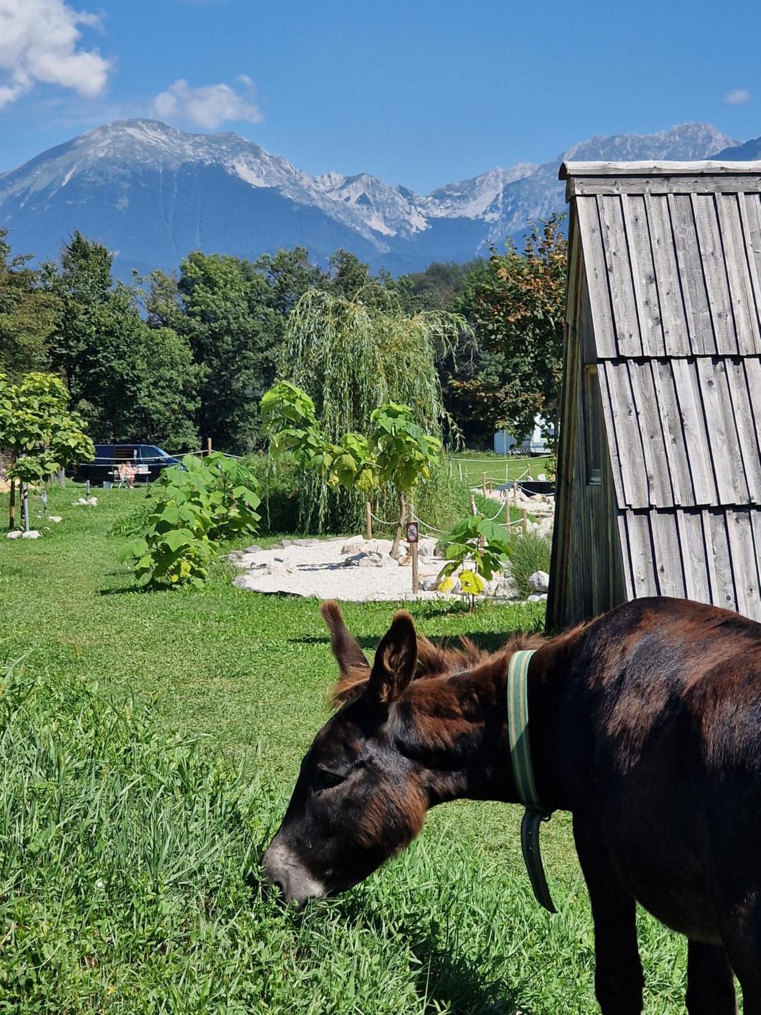 Hotel Glamping Alp Hut In Camping Garden Park à Radovljica Extérieur photo